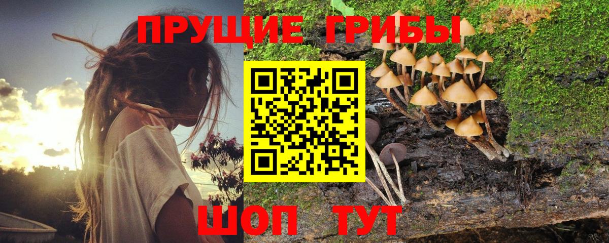 Хабаровск  Псилоцибиновые грибы Psilocybine cubensis  Вход с VPN  Галлюциногенные грибы Cubensis 